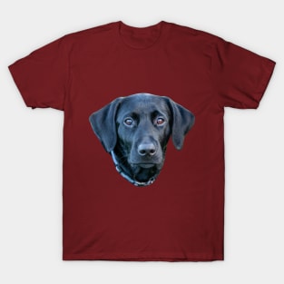 What a Face, Butter wouldn't melt! T-Shirt